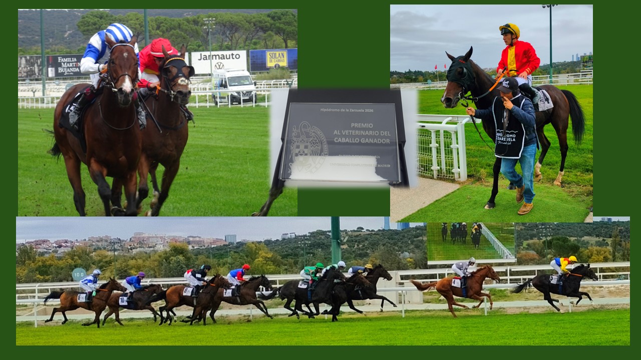 Nueva edición del Premio Facultad de Veterinaria en el Hipódromo de Madrid - 2